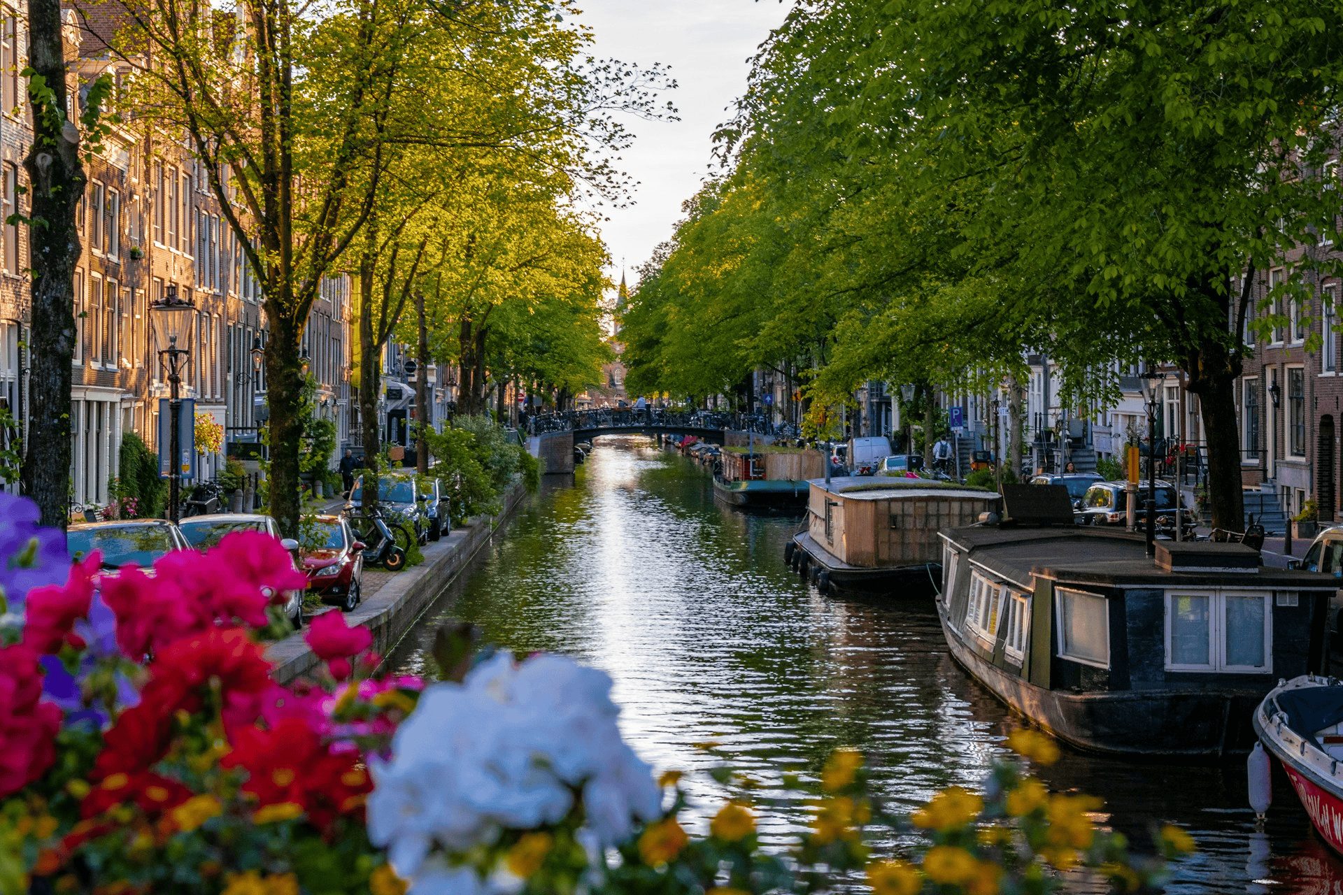 Gracht in de Jordaan met bomen, woonboten en een brug