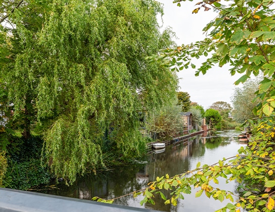 Groene en waterrijke woonomgeving bij appartement in Wormerveer met bomen en rustig water